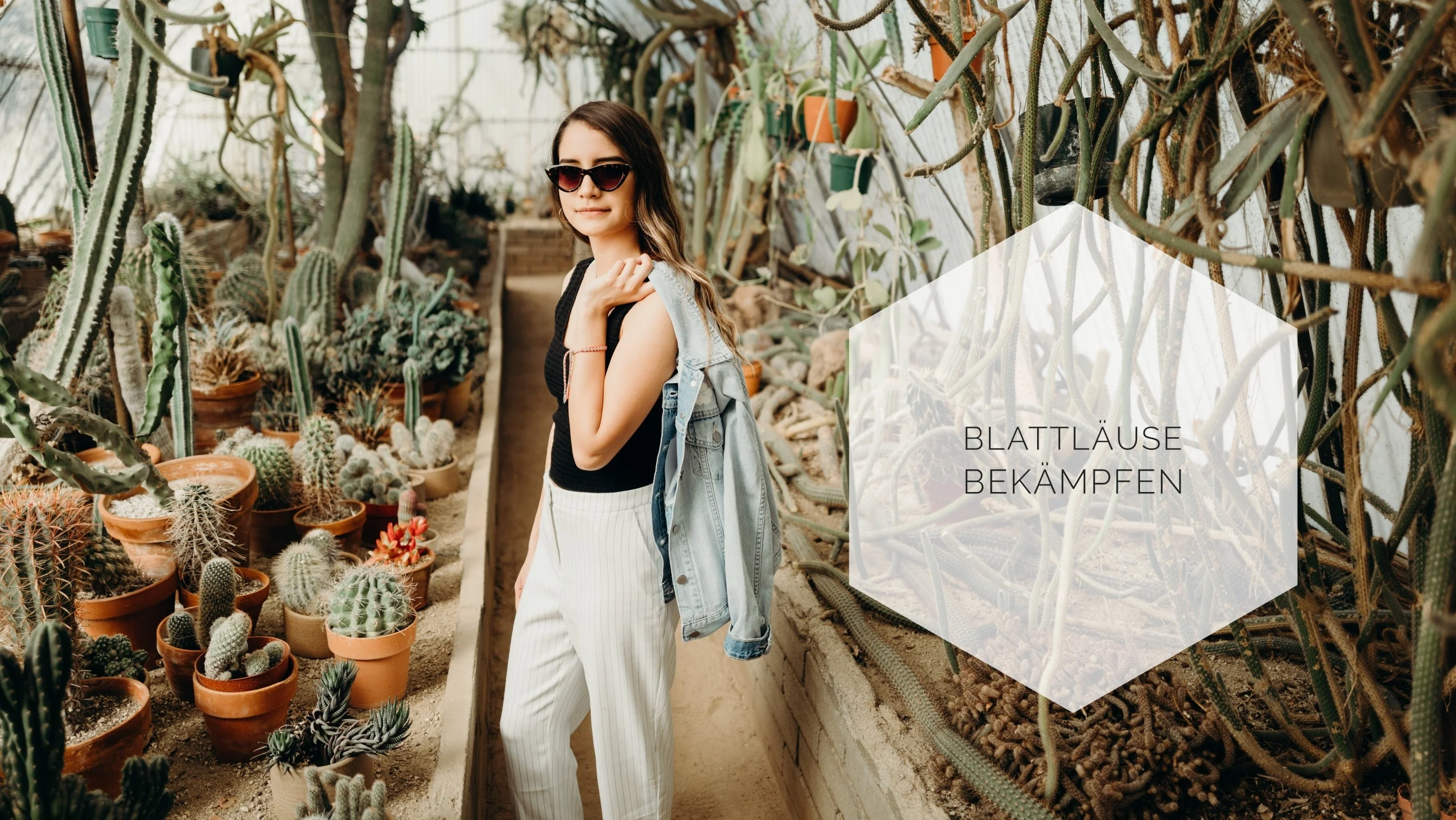 Welcome to Our Store