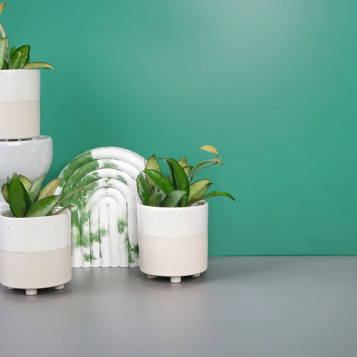 HOYA PHILIPINES - Image 3