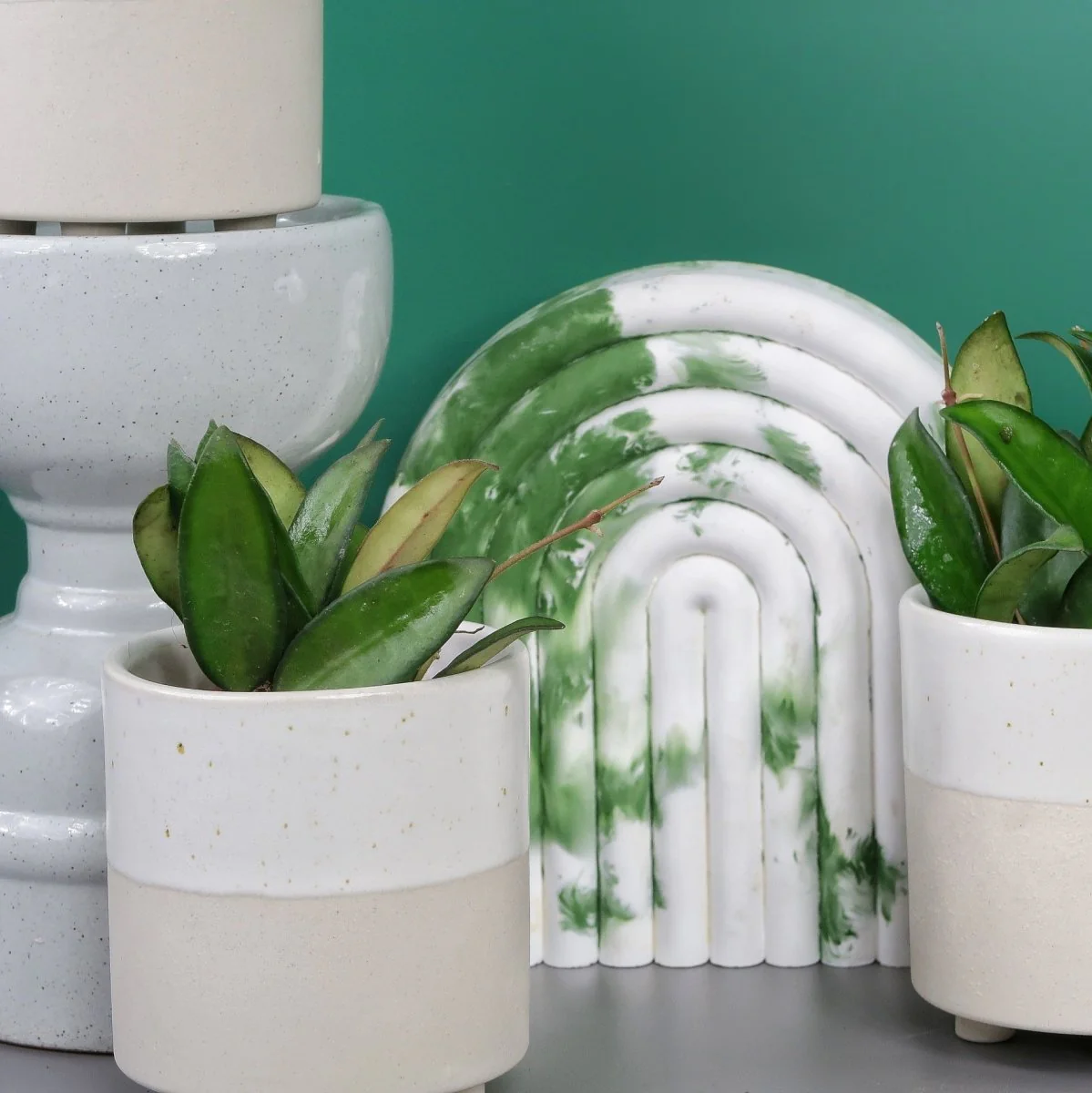 HOYA PHILIPINES - Image 4