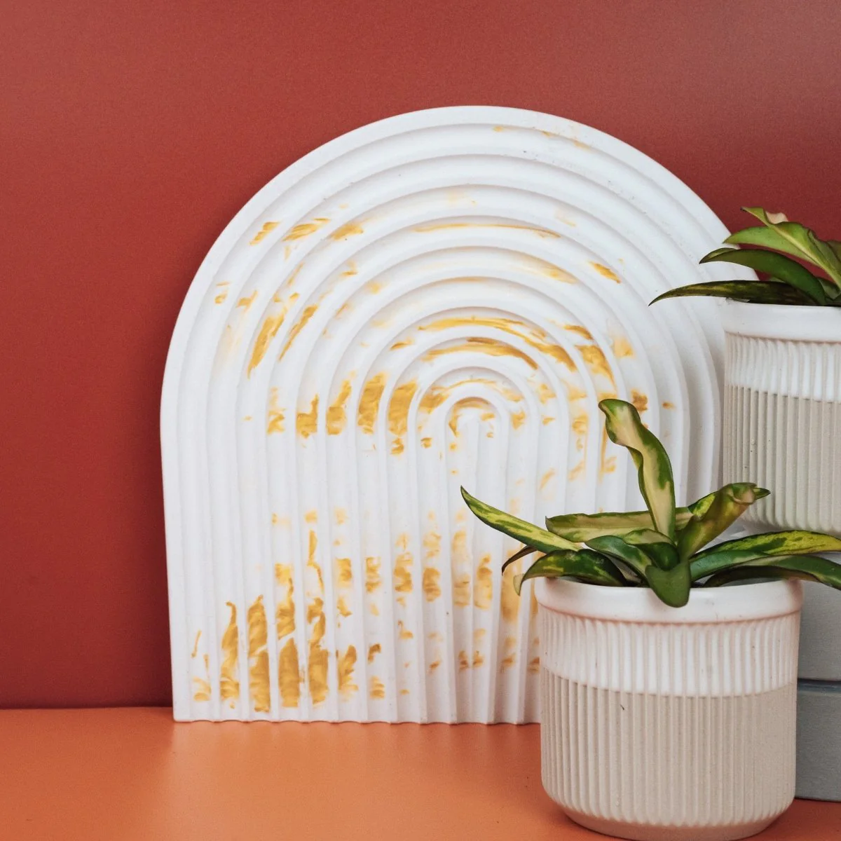 HOYA WAYETII TRICOLOR - Image 9