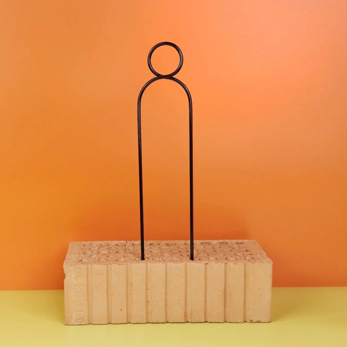 PFLANZENSTÜTZE - BOTANOPIA SMALL BLACK - Image 6