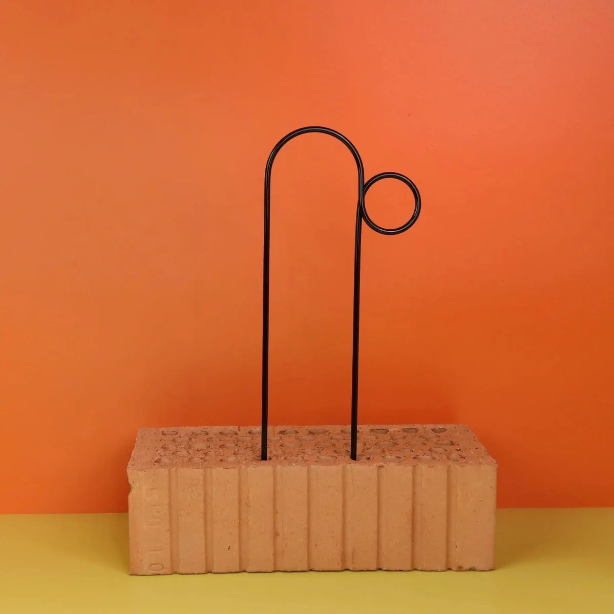 PFLANZENSTÜTZE - BOTANOPIA SMALL BLACK - Image 8