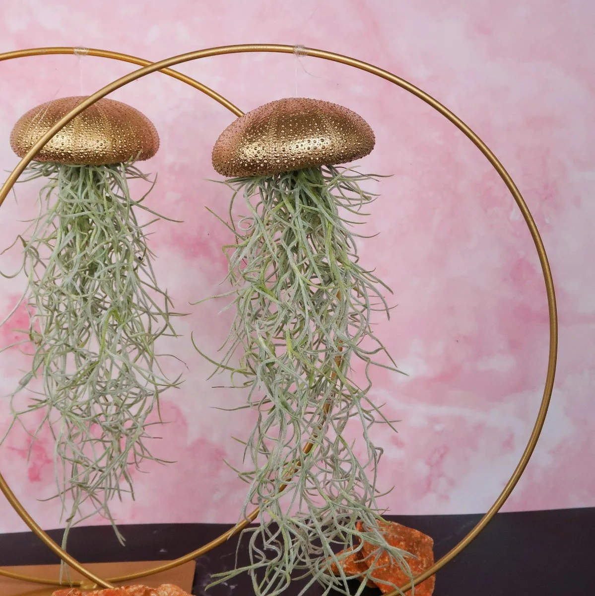 TILLANDSIA USNEOIDES - GOLD - Image 3