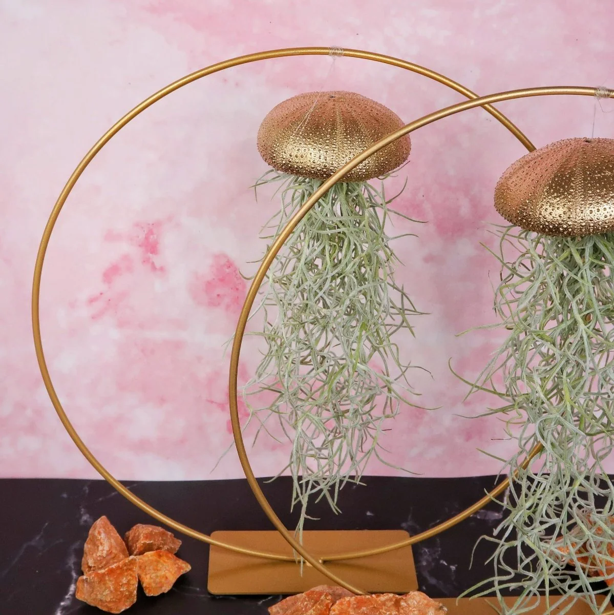TILLANDSIA USNEOIDES - GOLD - Image 6