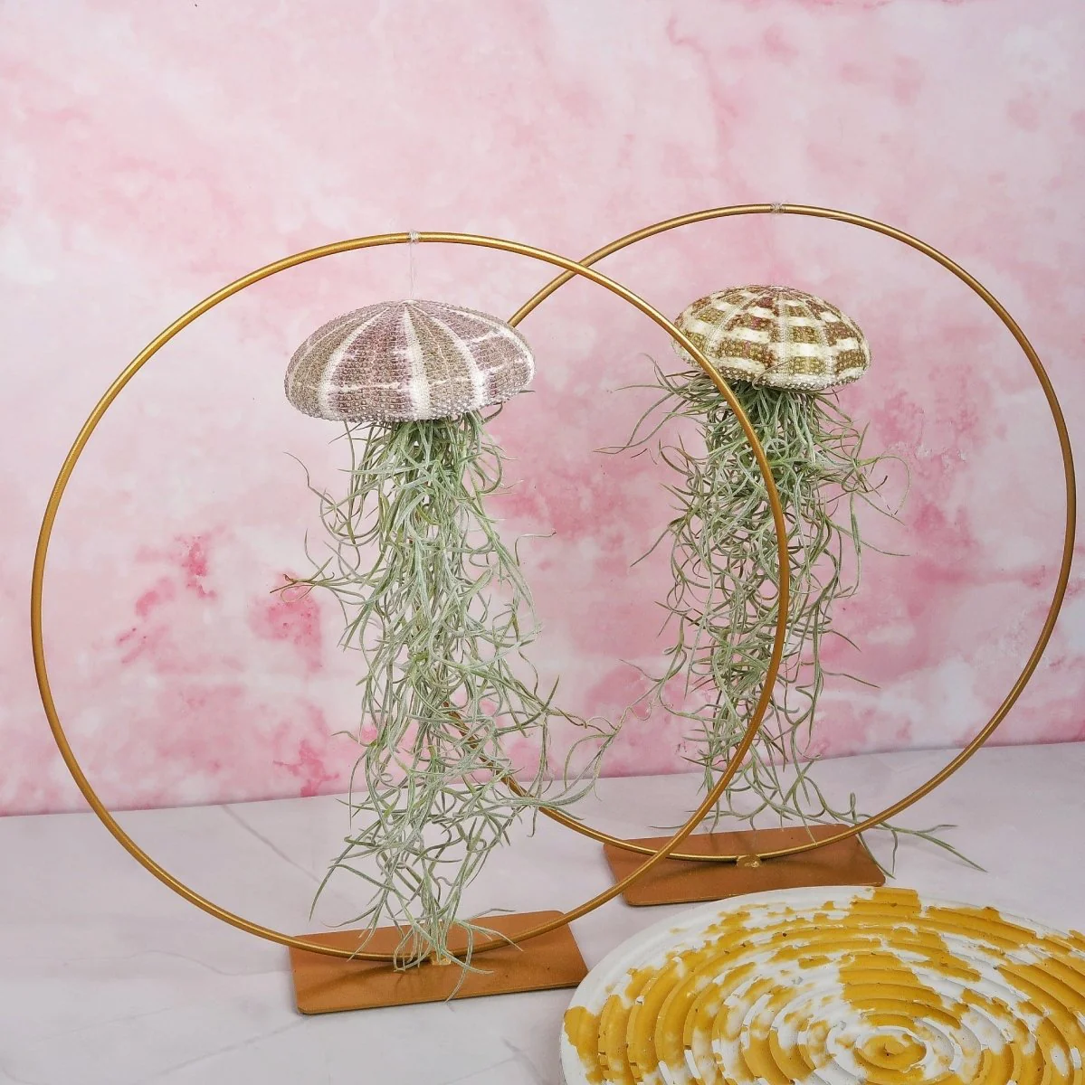 TILLANDSIA USNEOIDES - NATUR - Image 5