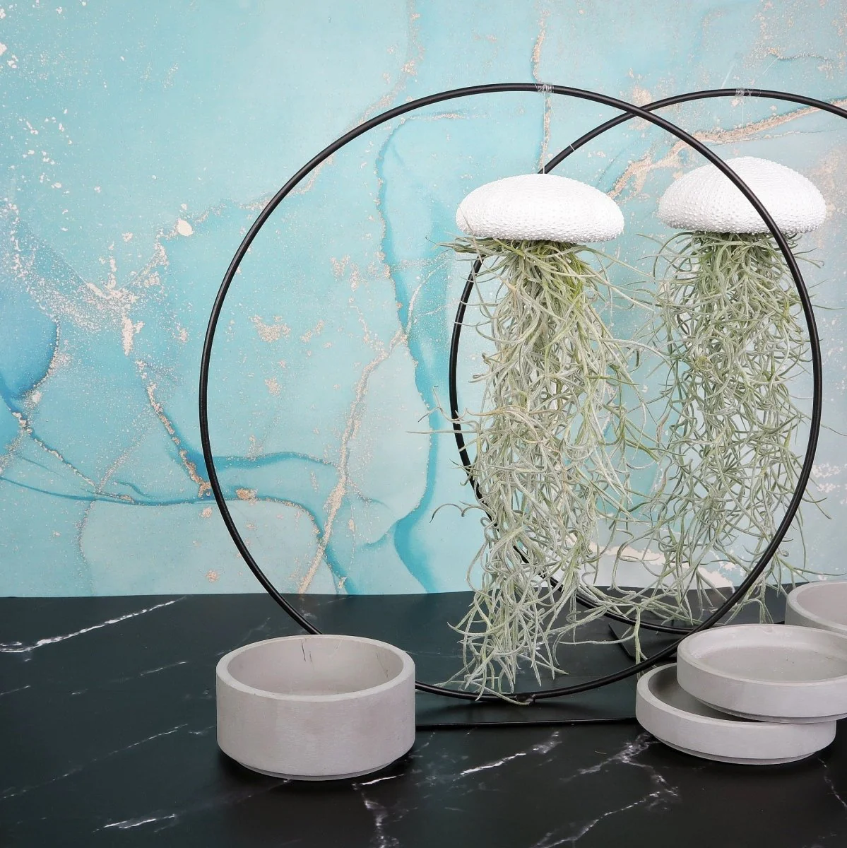 TILLANDSIA USNEOIDES - WHITE - Image 3