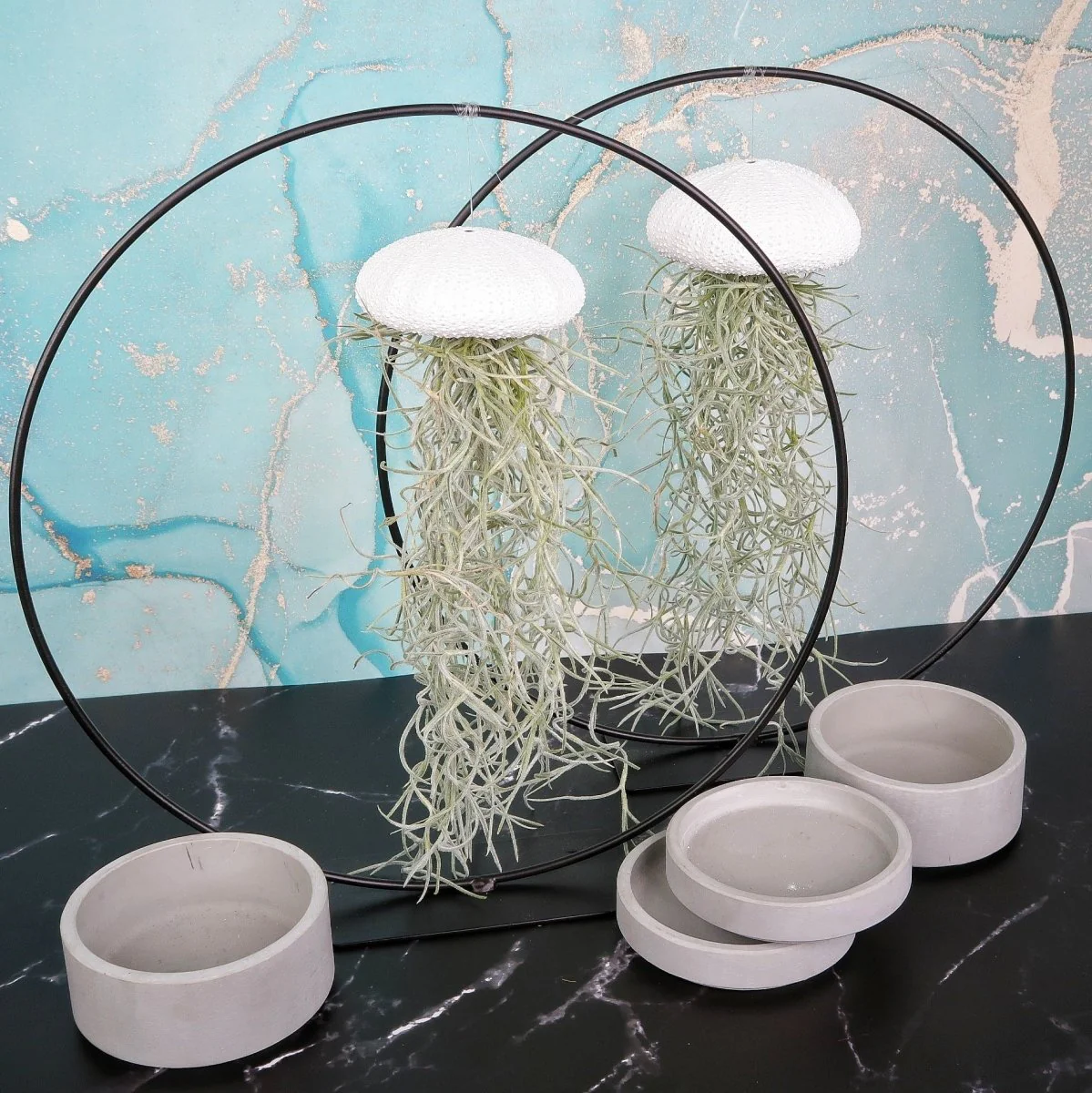 TILLANDSIA USNEOIDES - WHITE - Image 5