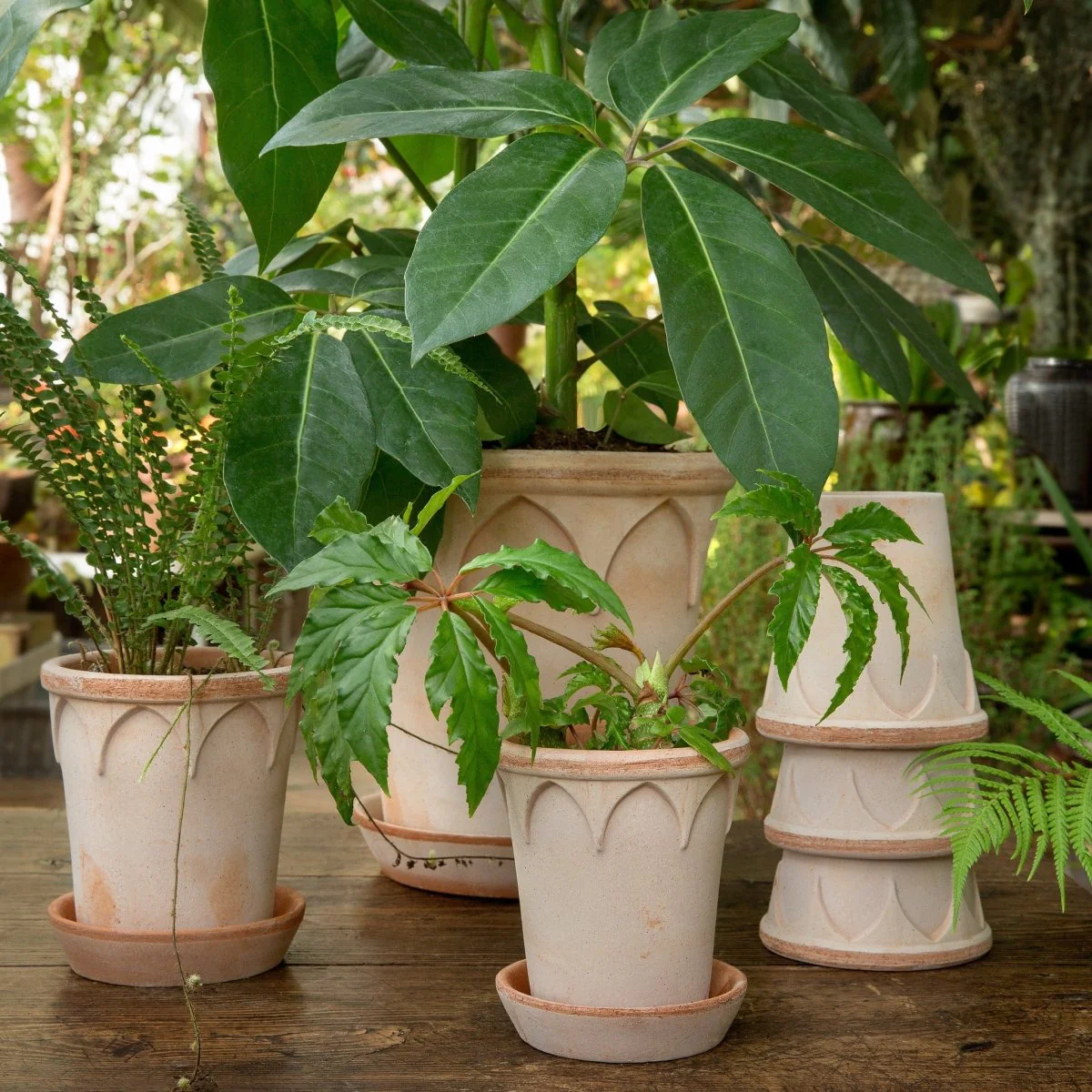 ÜBERTOPF BERGS ELIZABETH - Image 3