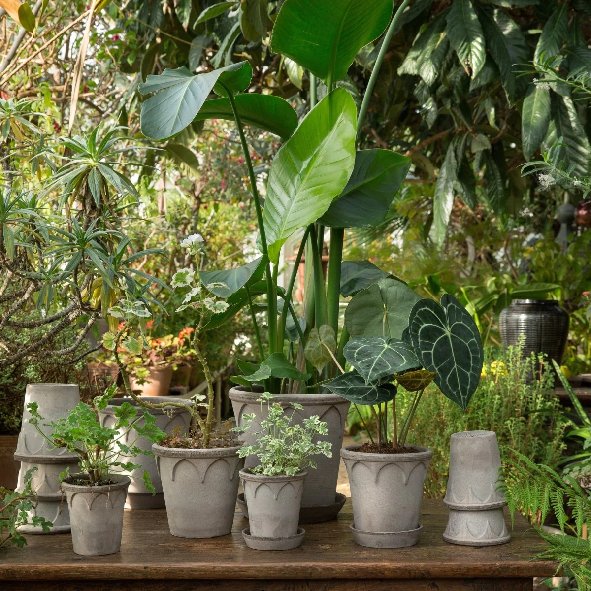 ÜBERTOPF BERGS ELIZABETH - Image 4