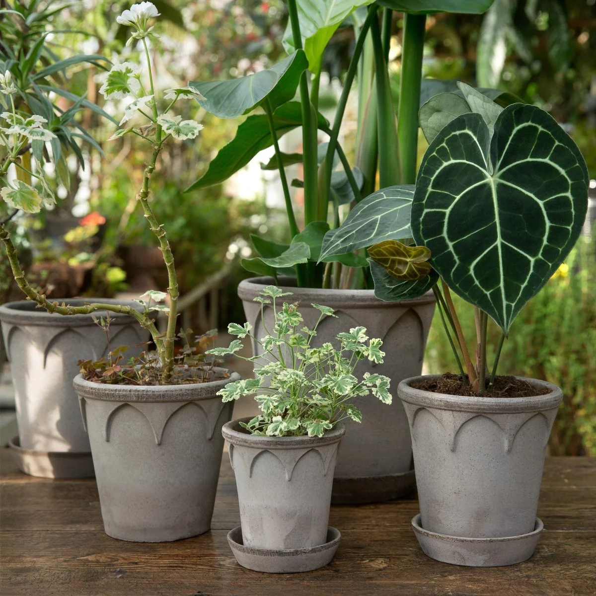 ÜBERTOPF BERGS ELIZABETH - Image 5