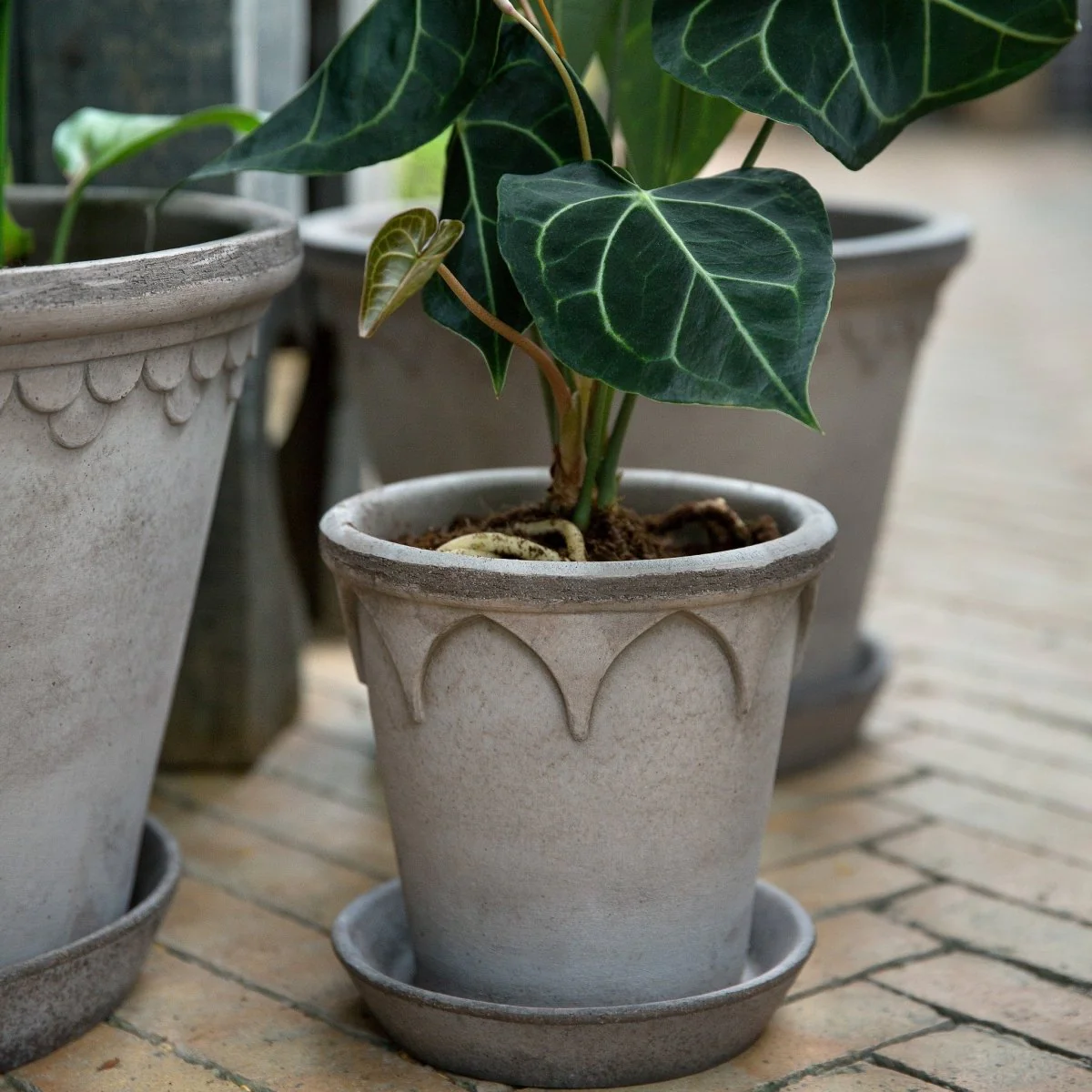 ÜBERTOPF BERGS ELIZABETH - Image 6