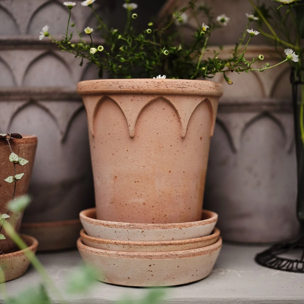 ÜBERTOPF BERGS ELIZABETH - Image 8