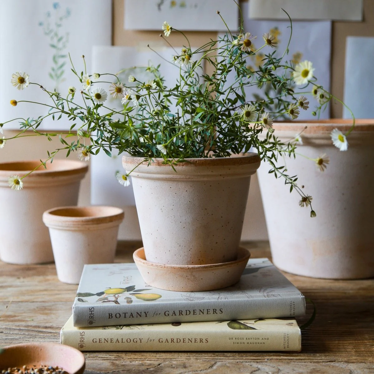 ÜBERTOPF BERGS FLORA - Image 6