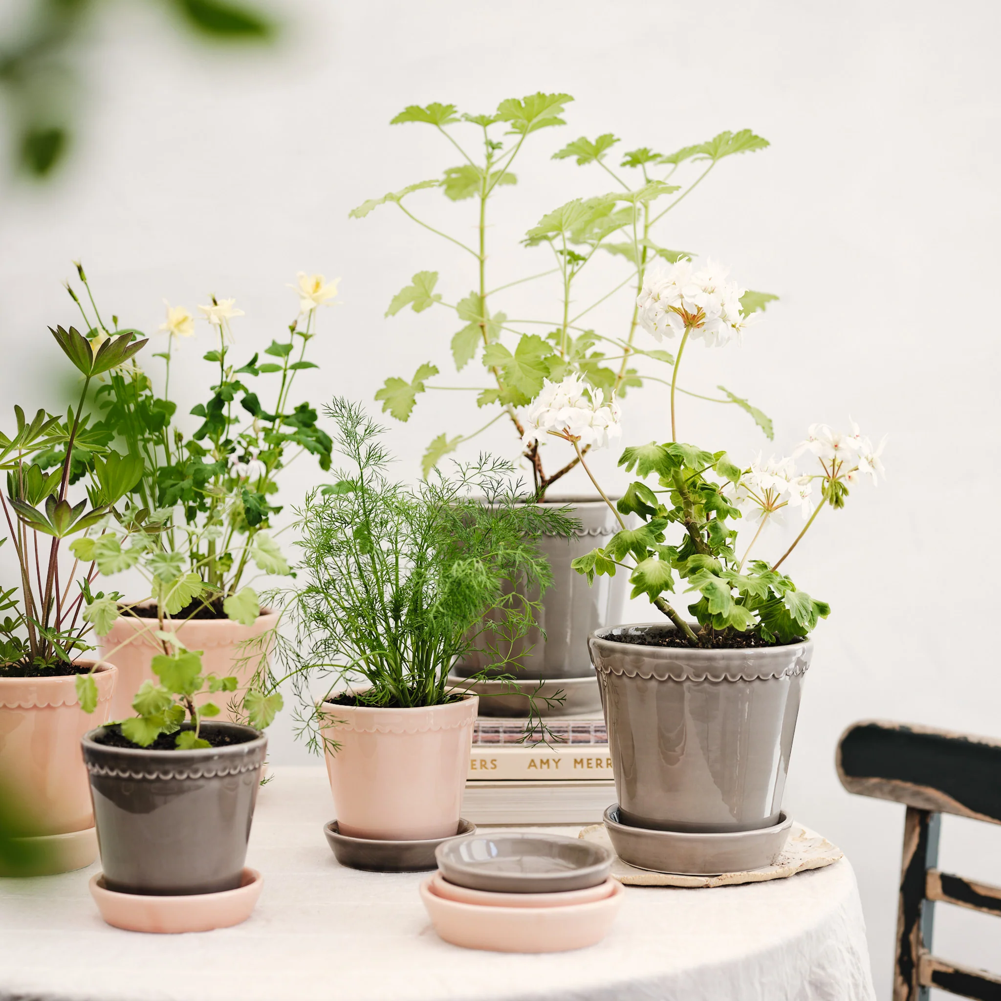 ÜBERTOPF BERGS HELENA - Image 10