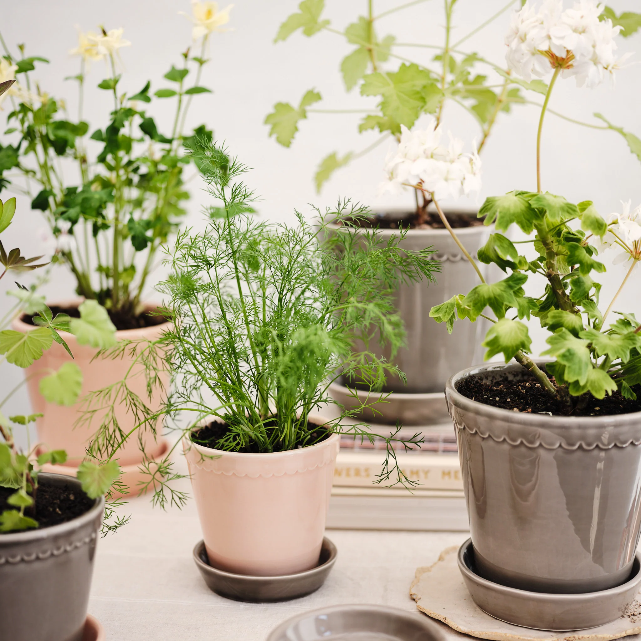 ÜBERTOPF BERGS HELENA - Image 11