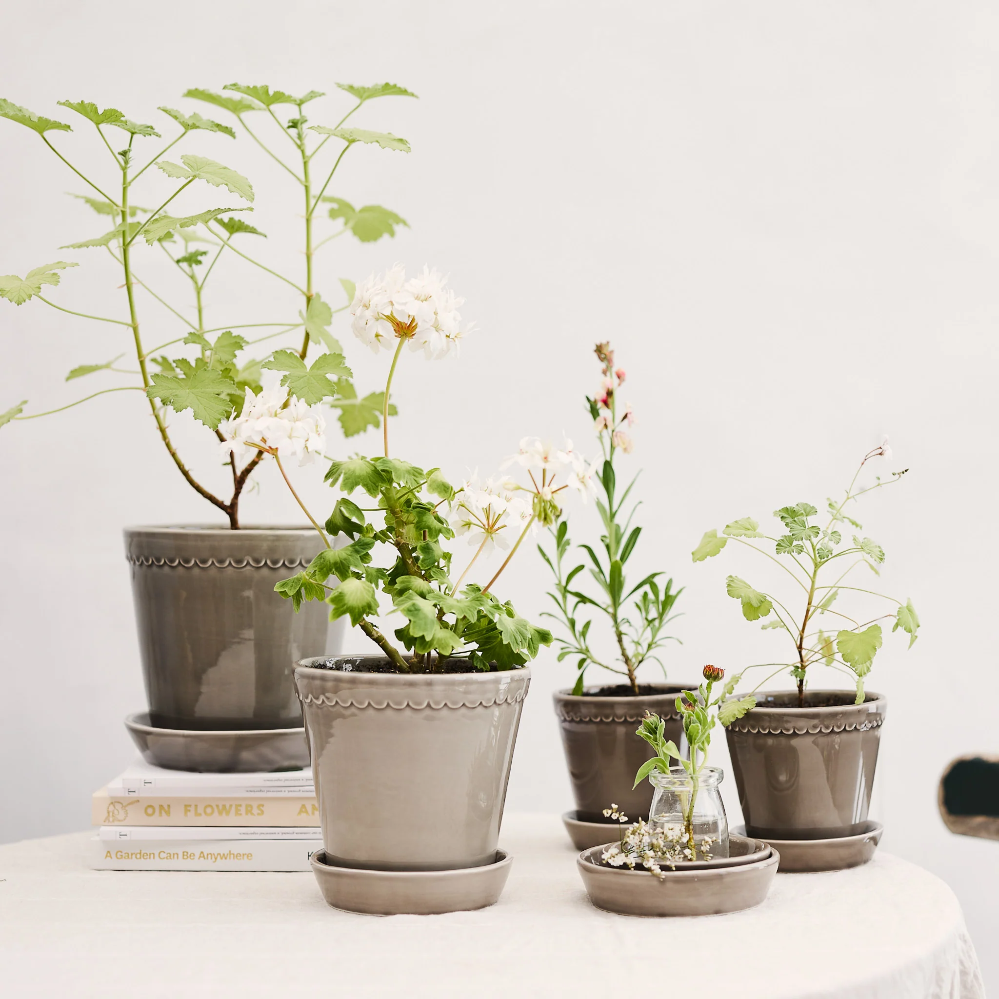 ÜBERTOPF BERGS HELENA - Image 12