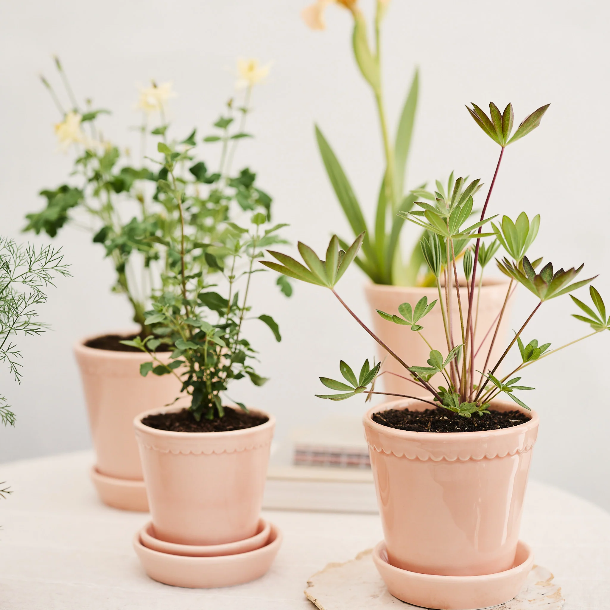 ÜBERTOPF BERGS HELENA - Image 13