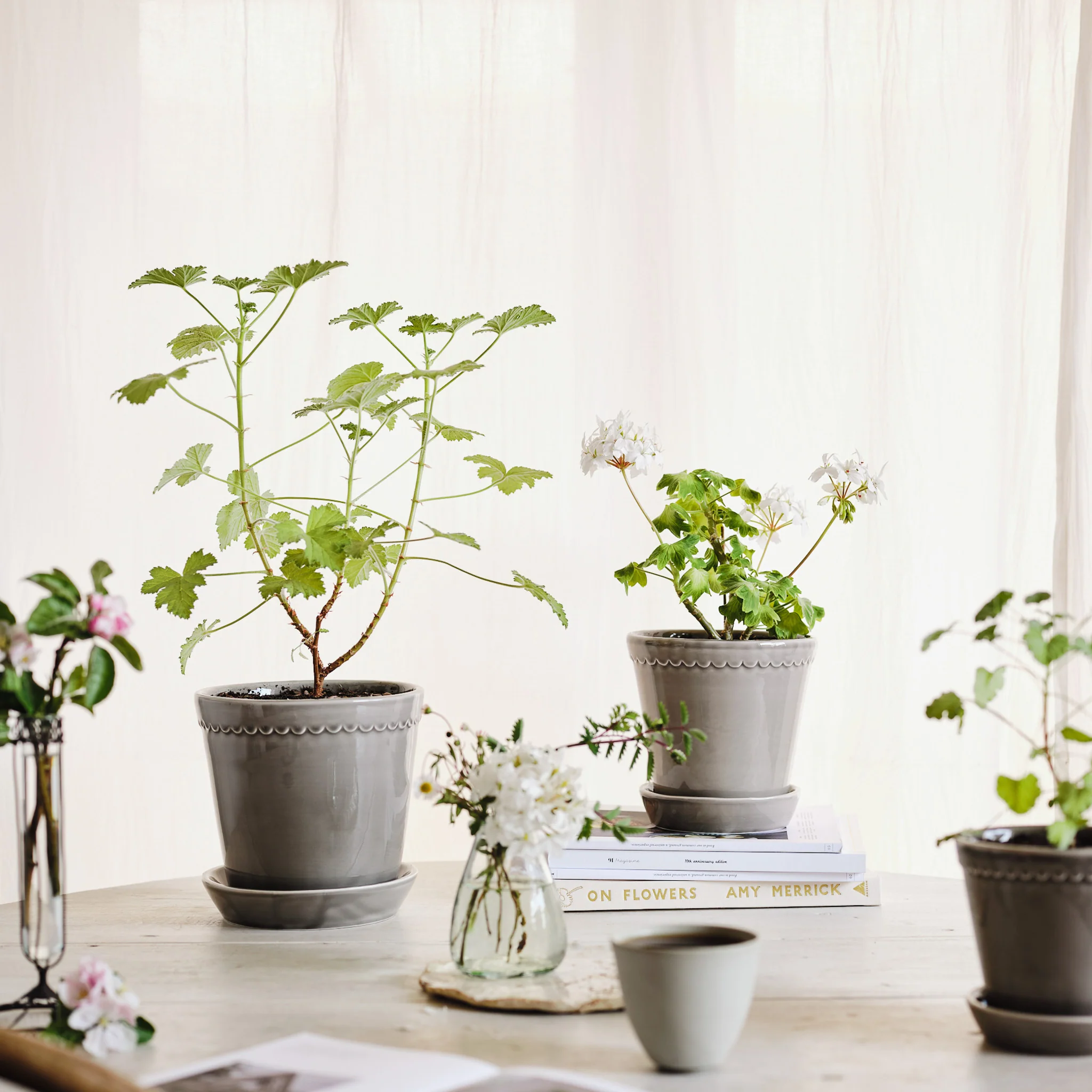 ÜBERTOPF BERGS HELENA - Image 15