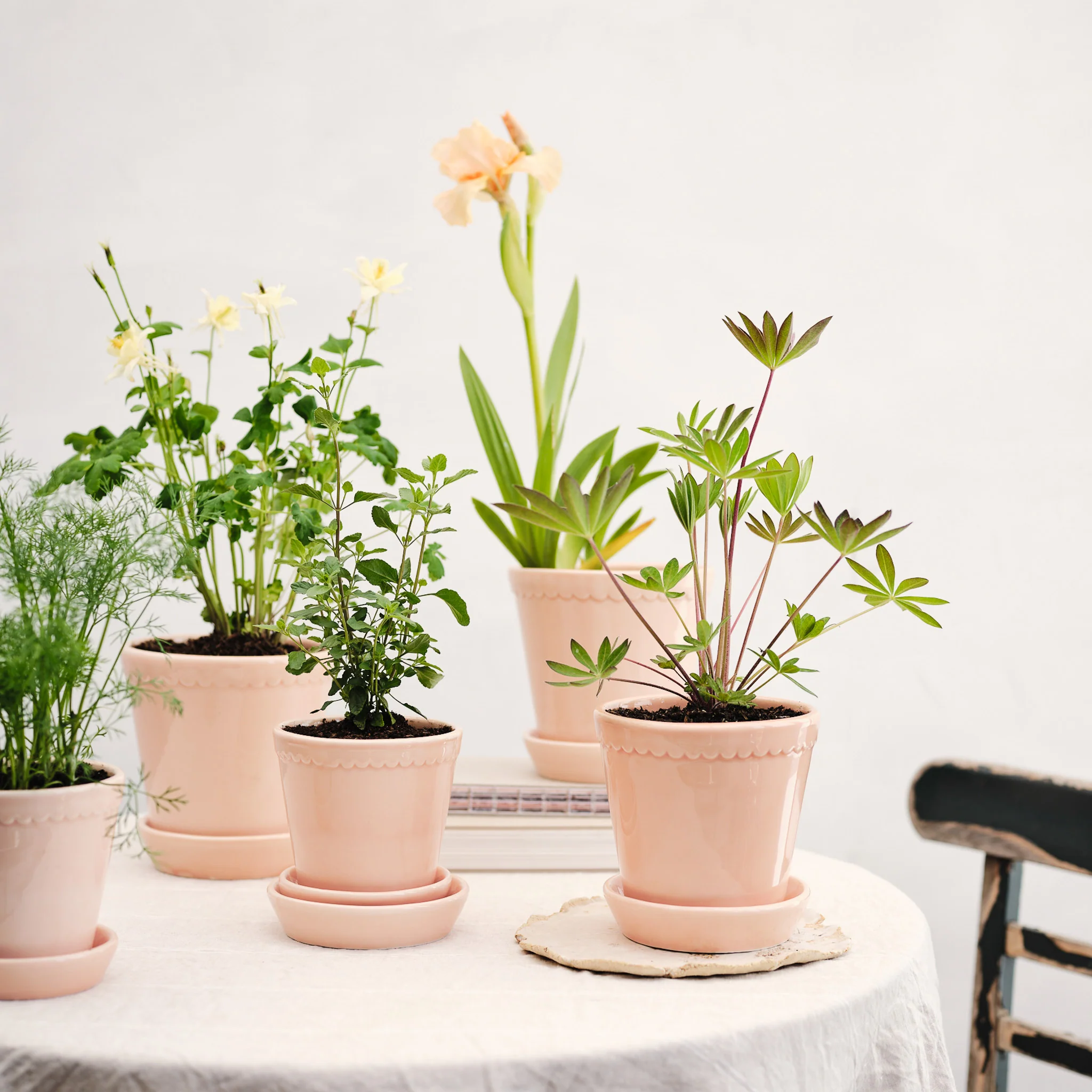 ÜBERTOPF BERGS HELENA - Image 19