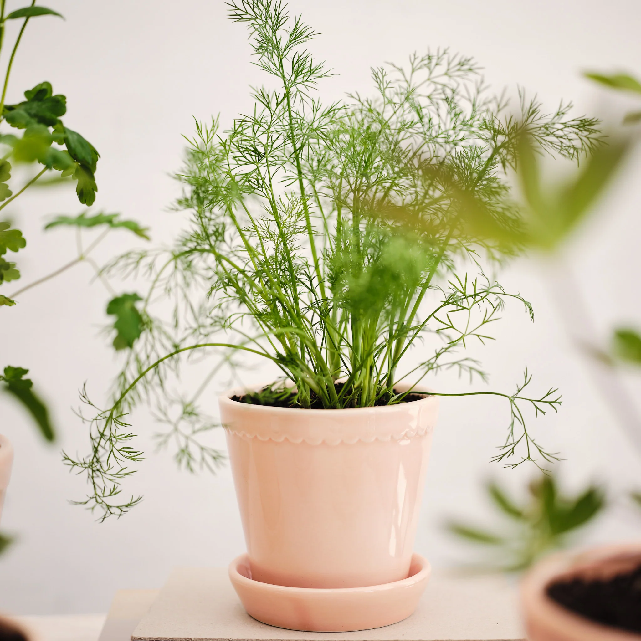 ÜBERTOPF BERGS HELENA - Image 21