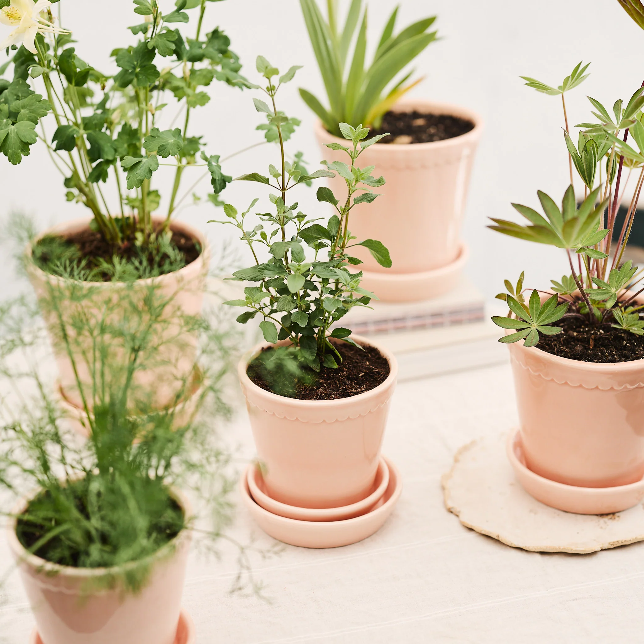 ÜBERTOPF BERGS HELENA - Image 22