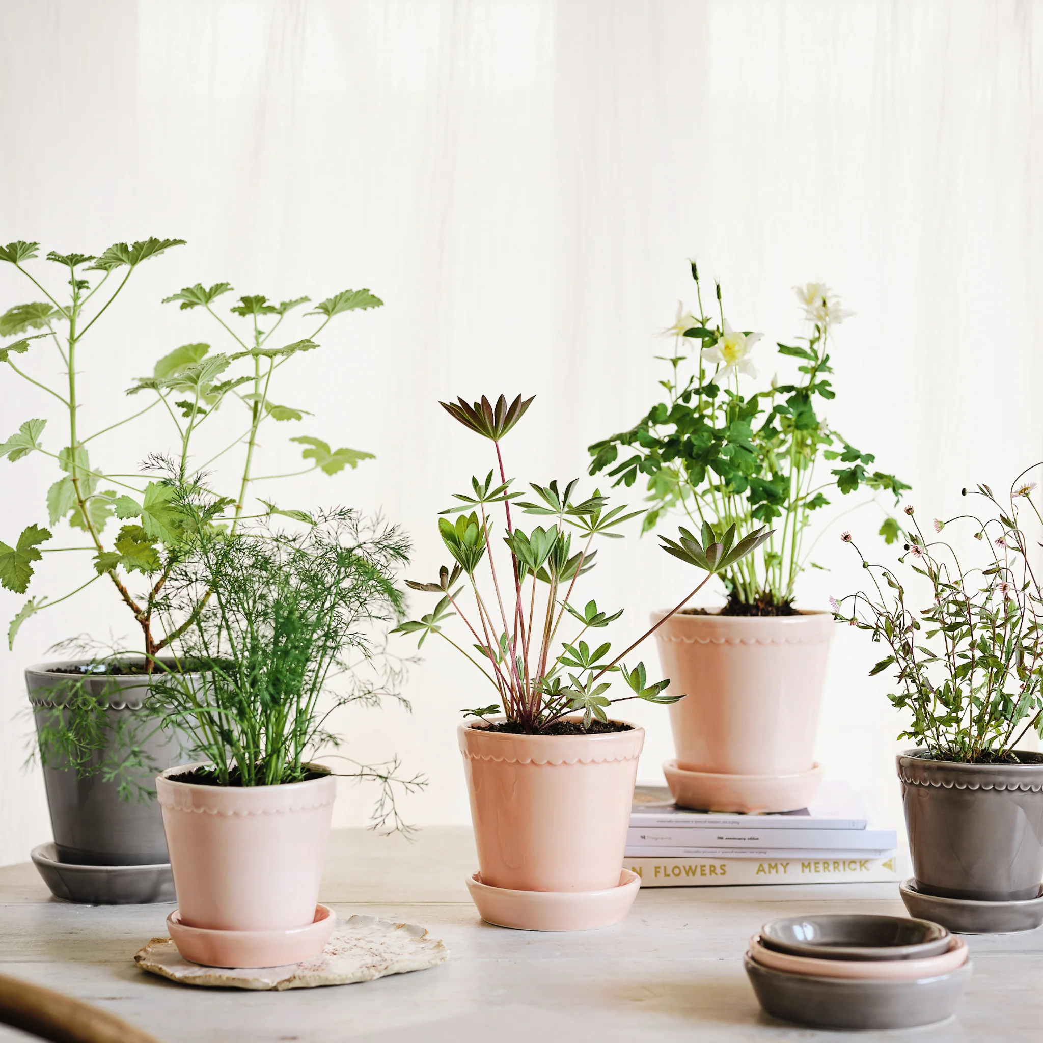 ÜBERTOPF BERGS HELENA - Image 24