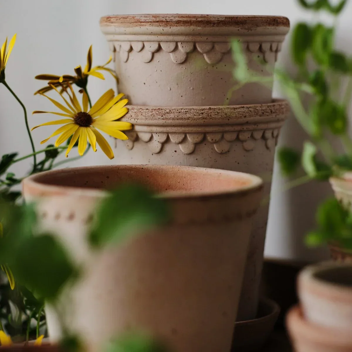 ÜBERTOPF BERGS HELENA - Image 3