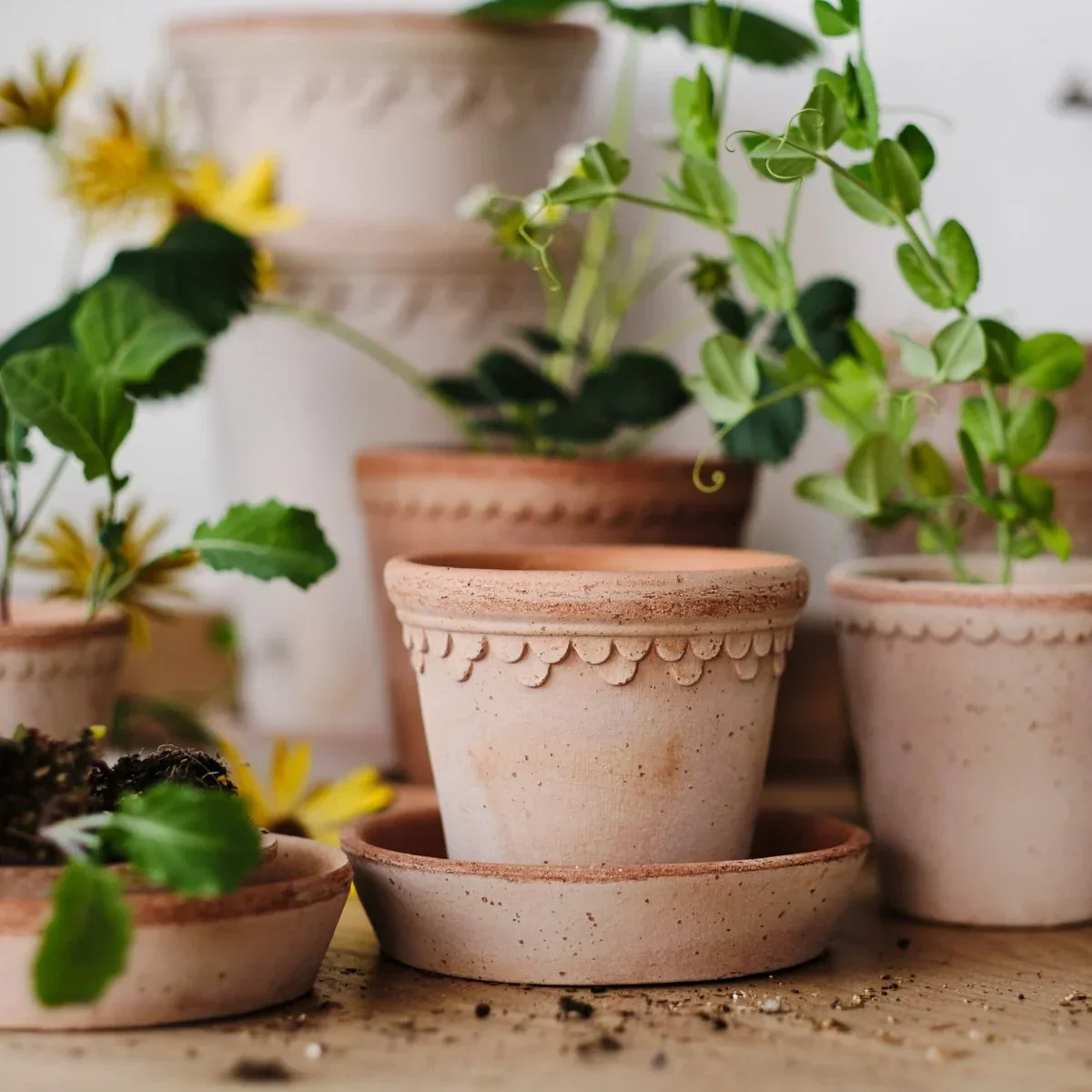 ÜBERTOPF BERGS HELENA - Image 4