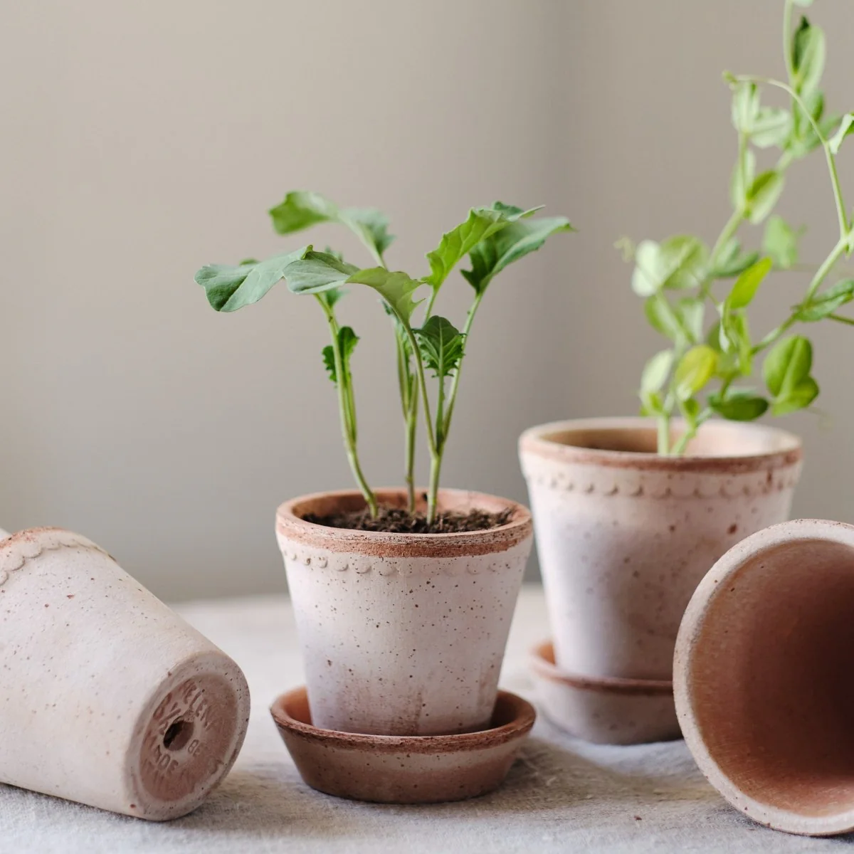 ÜBERTOPF BERGS HELENA - Image 5