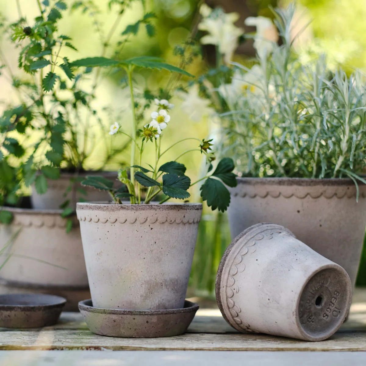 ÜBERTOPF BERGS HELENA - Image 7