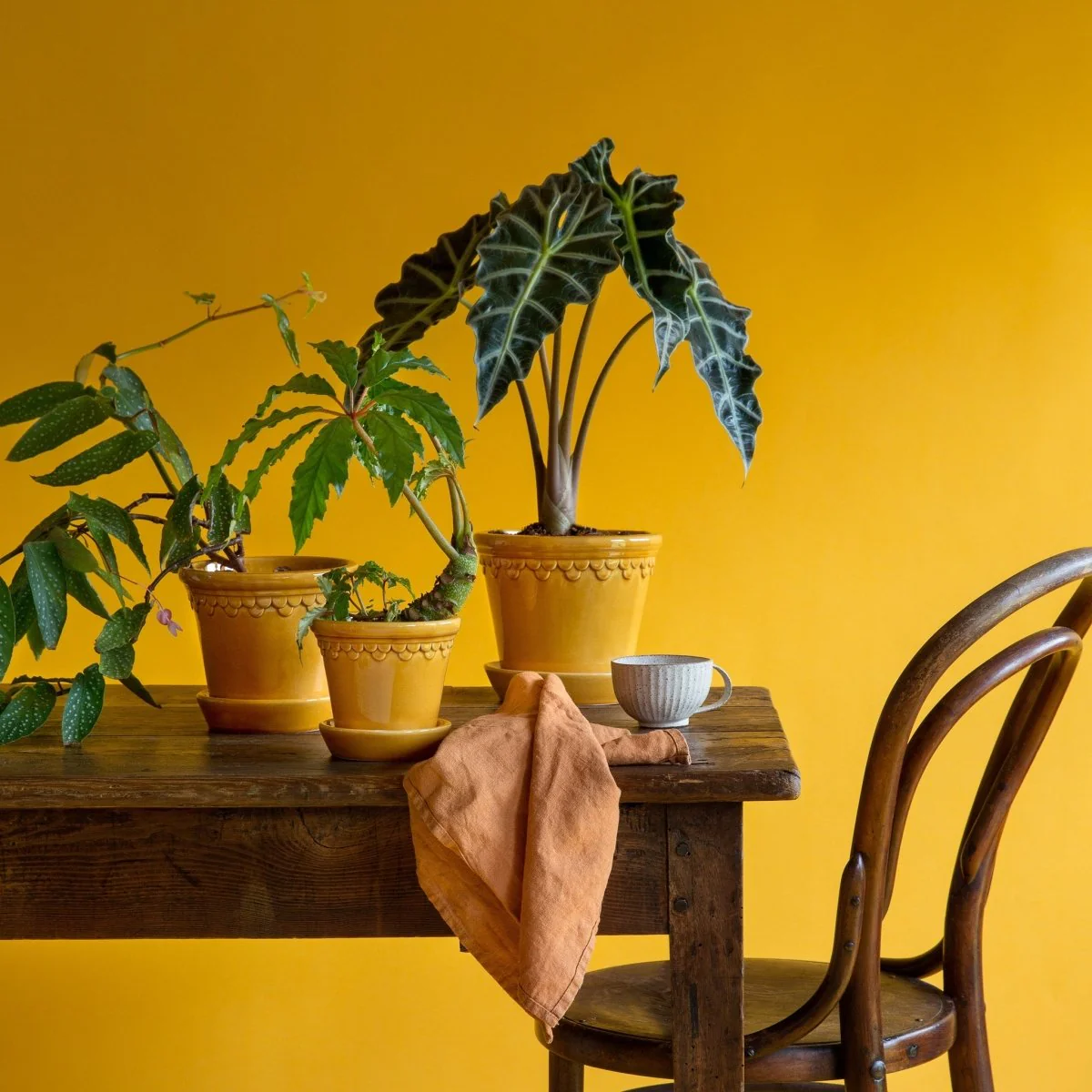 ÜBERTOPF BERGS KOPENHAGEN - Image 14