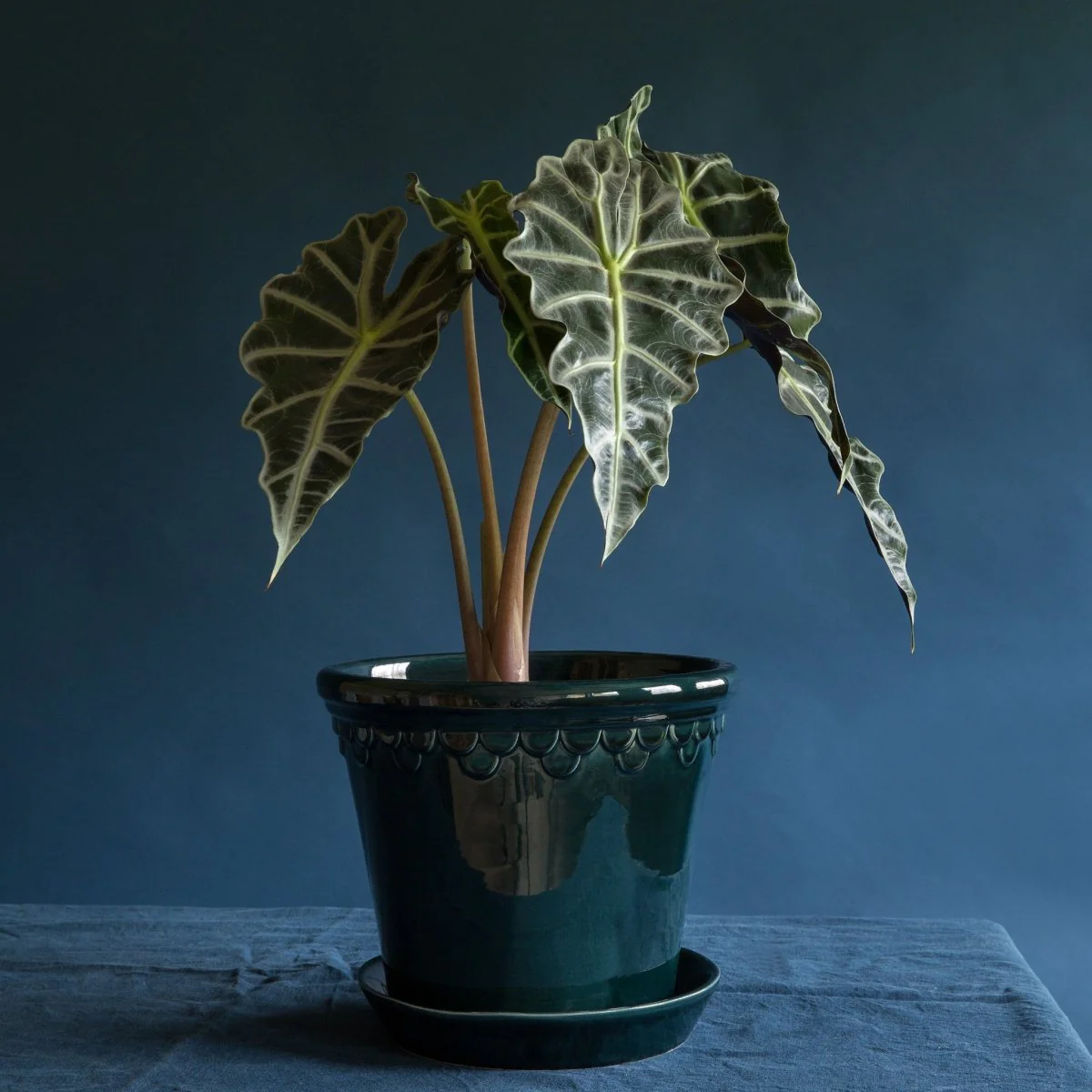 ÜBERTOPF BERGS KOPENHAGEN - Image 18