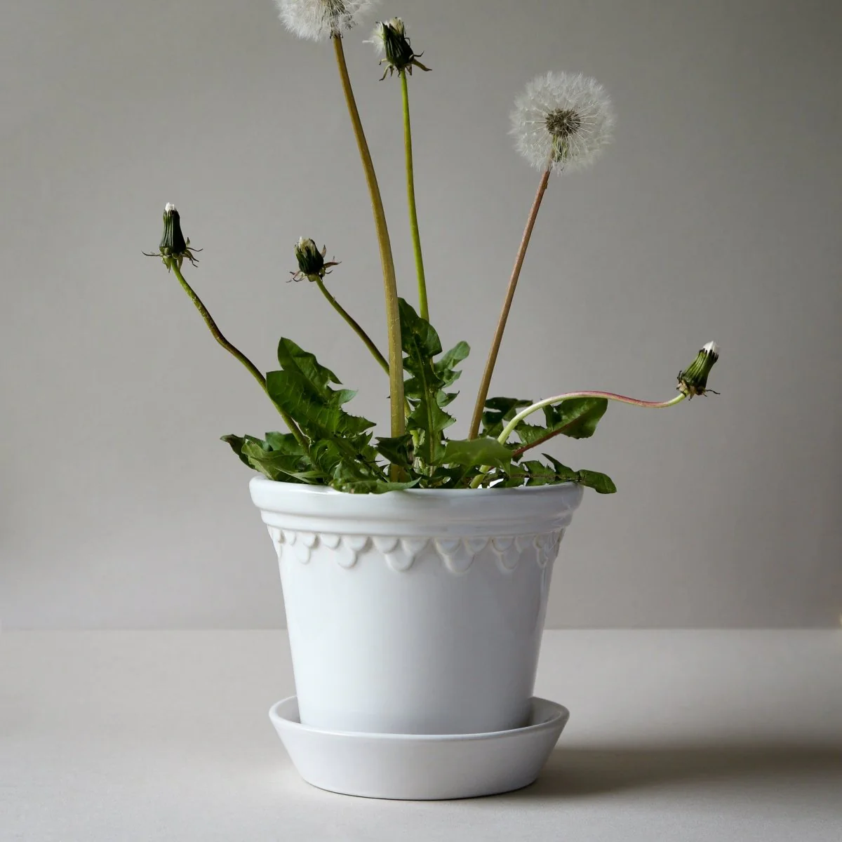 ÜBERTOPF BERGS KOPENHAGEN - Image 19