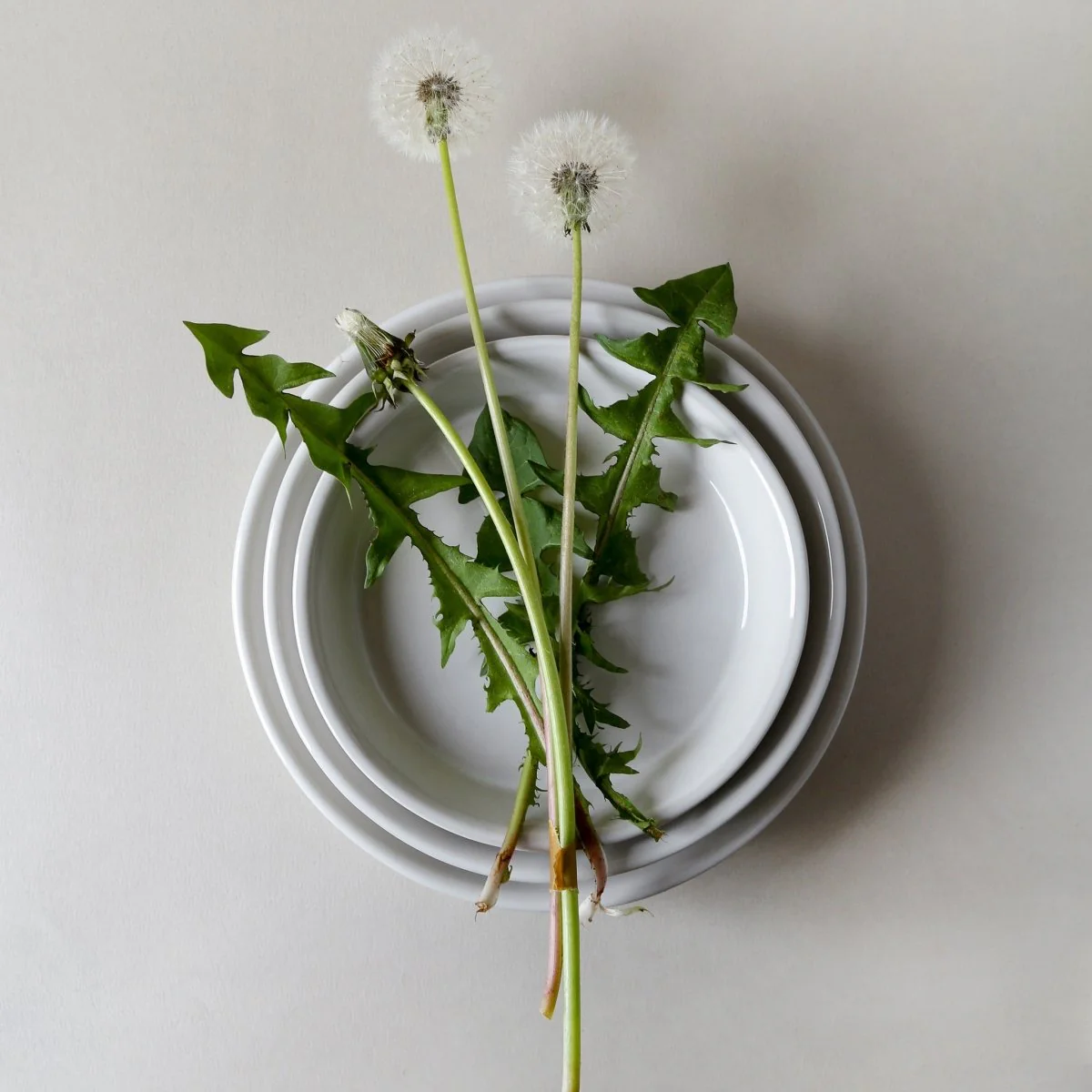 ÜBERTOPF BERGS KOPENHAGEN - Image 21