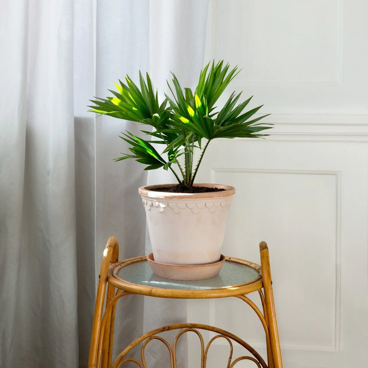 ÜBERTOPF BERGS KOPENHAGEN - Image 5