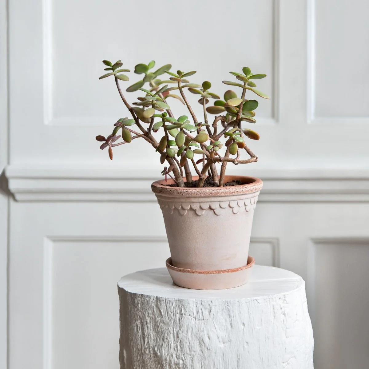 ÜBERTOPF BERGS KOPENHAGEN - Image 6