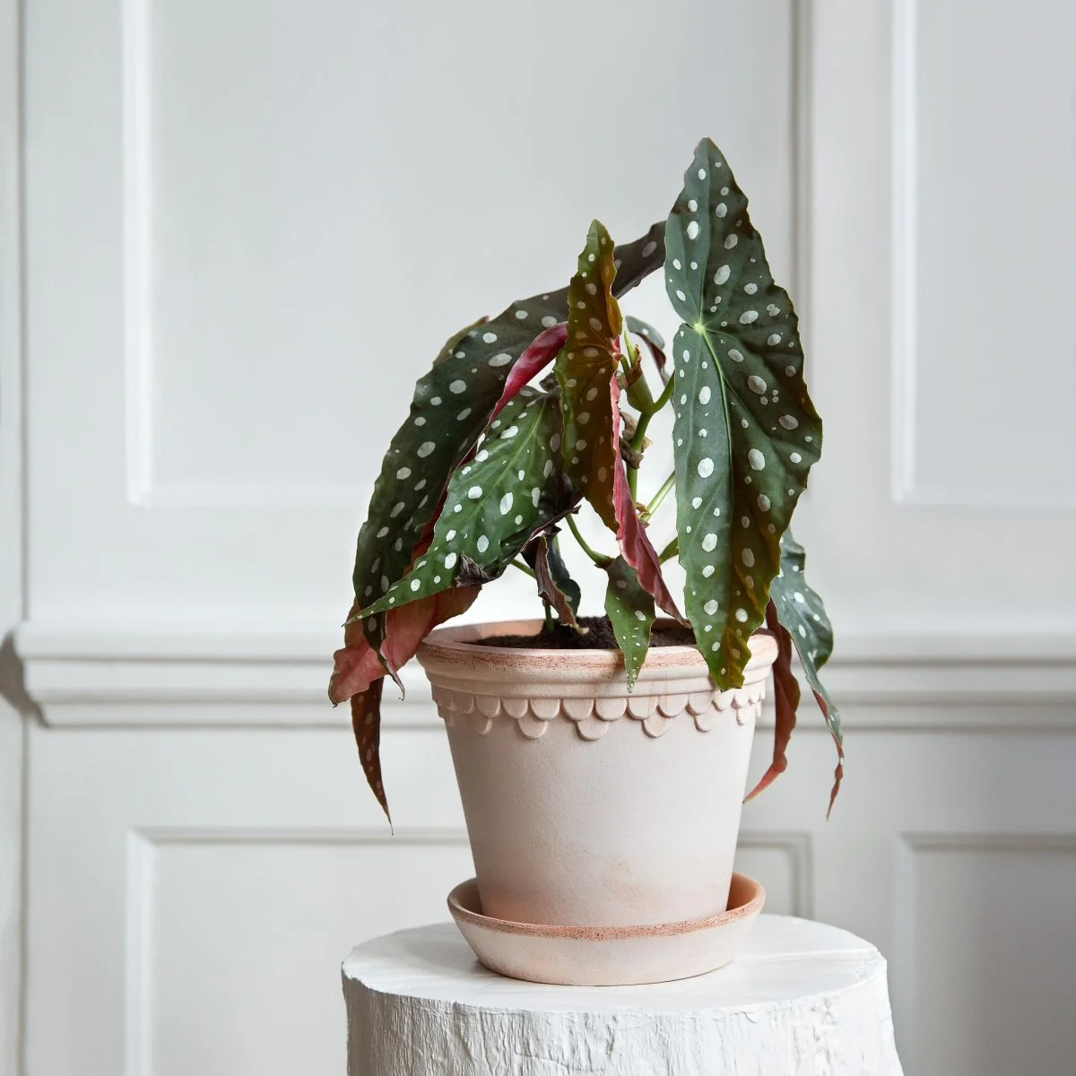 ÜBERTOPF BERGS KOPENHAGEN - Image 7