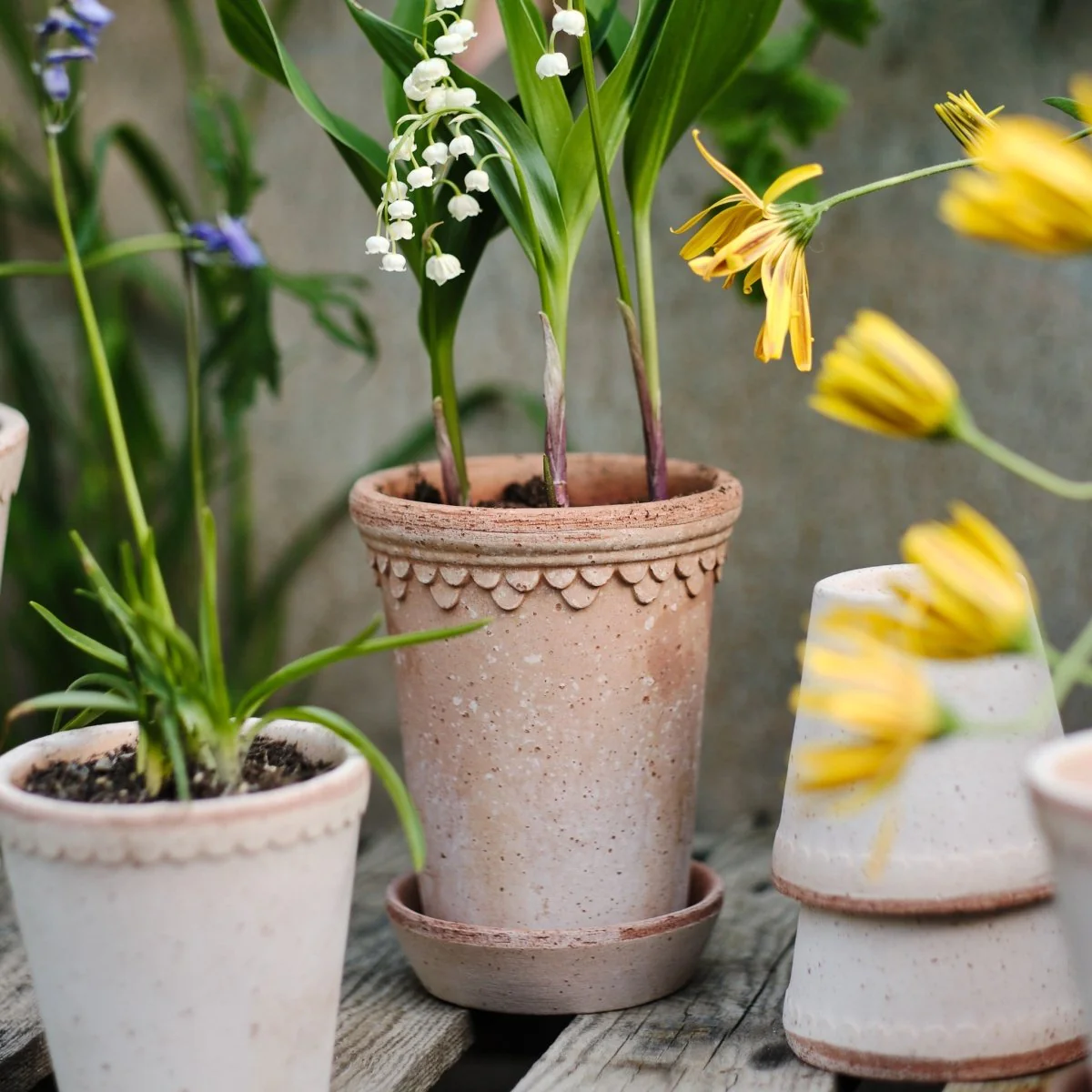 ÜBERTOPF BERGS KOPENHAGEN TALL - Image 3