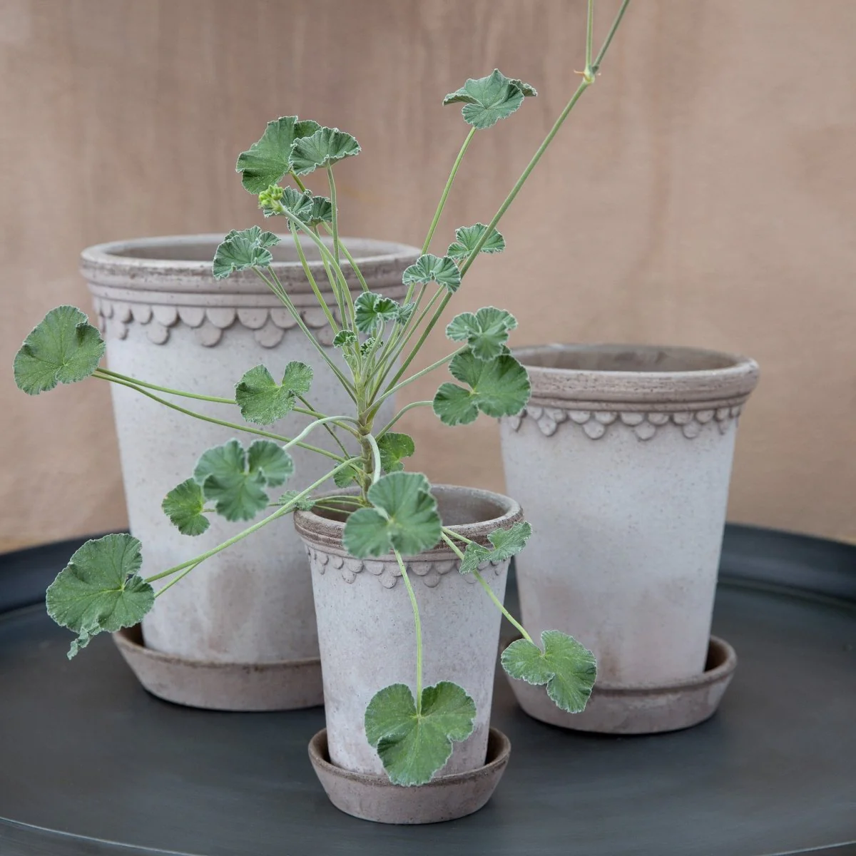 ÜBERTOPF BERGS KOPENHAGEN TALL - Image 5