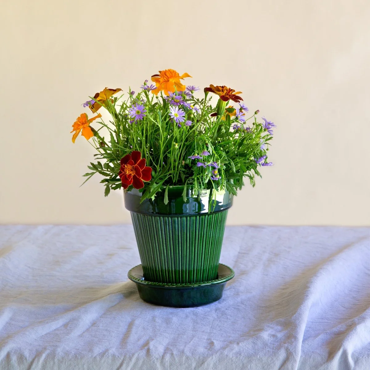 ÜBERTOPF BERGS SIMONA - Image 6