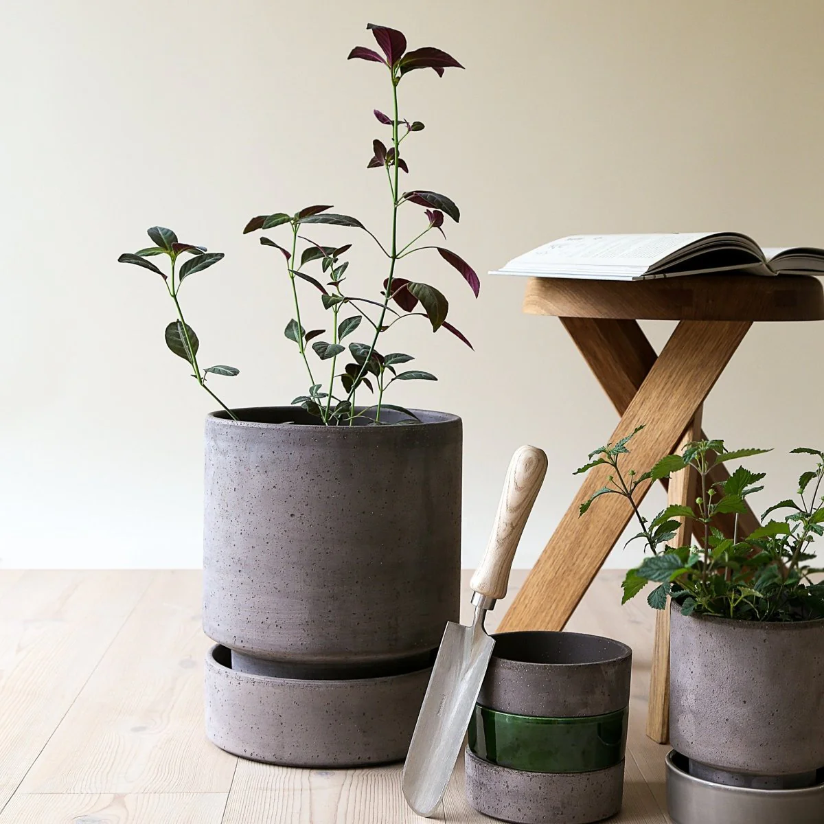 ÜBERTOPF BERGS THE HOFF - Image 3