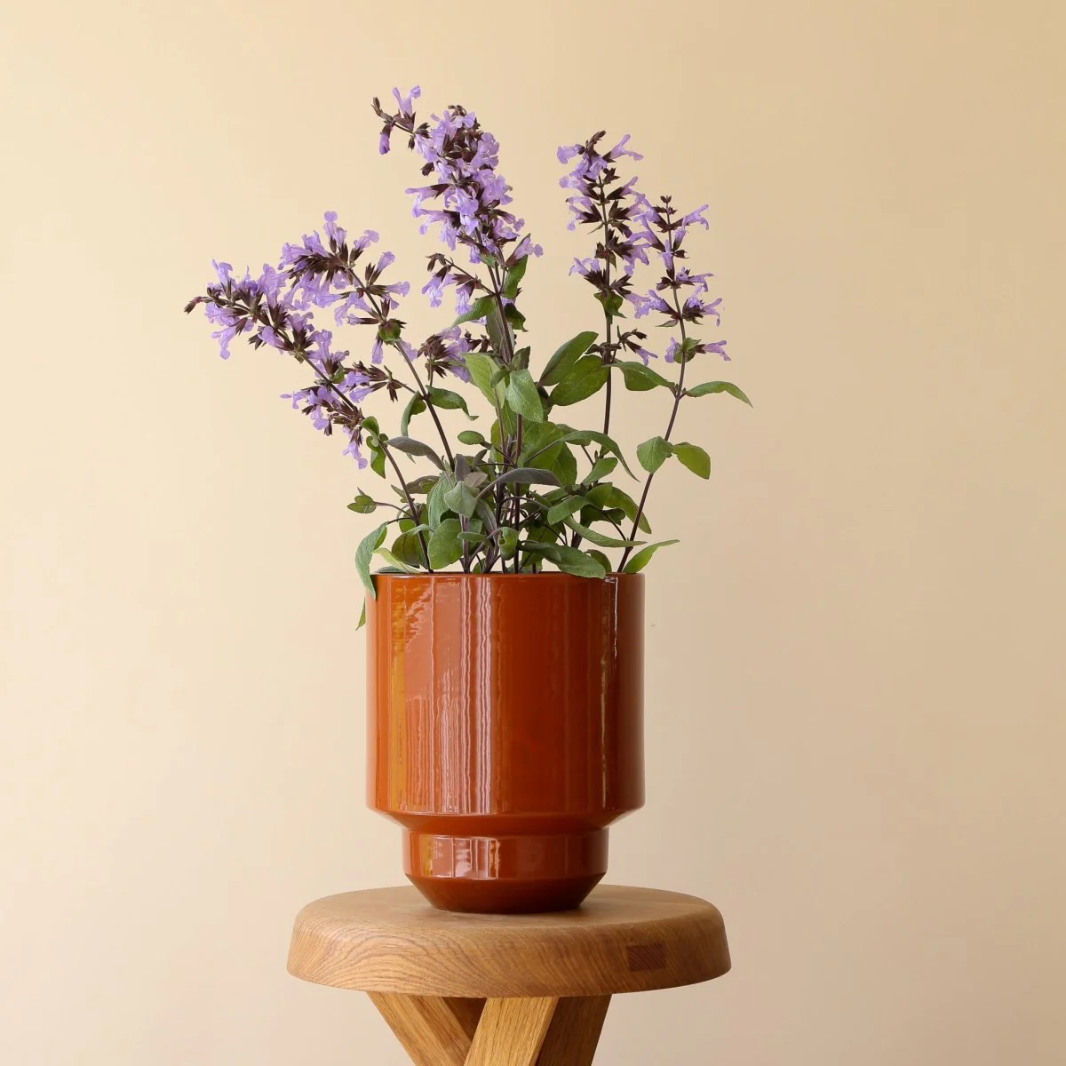 ÜBERTOPF BERGS THE HOFF - Image 4