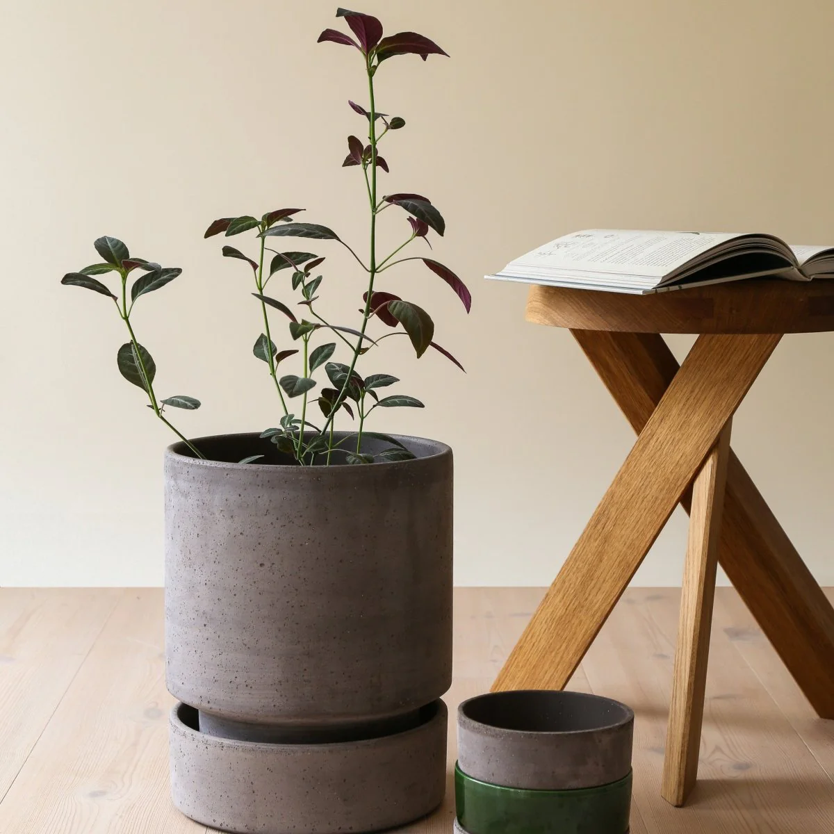 ÜBERTOPF BERGS THE HOFF - Image 7