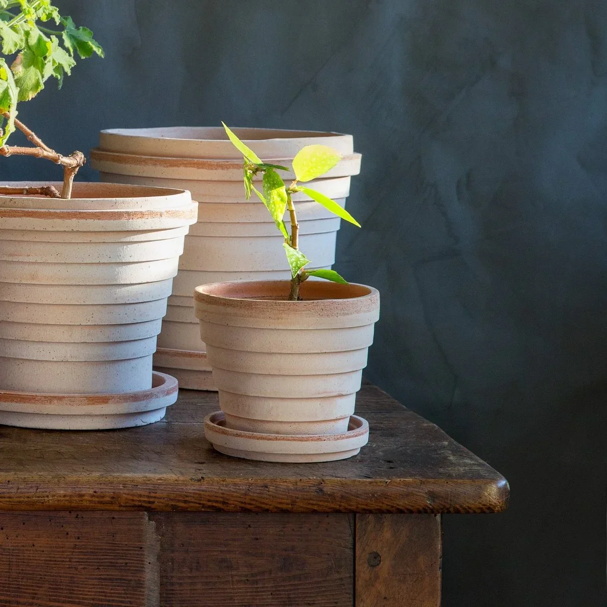 ÜBERTOPF BERGS VENUS - Image 3