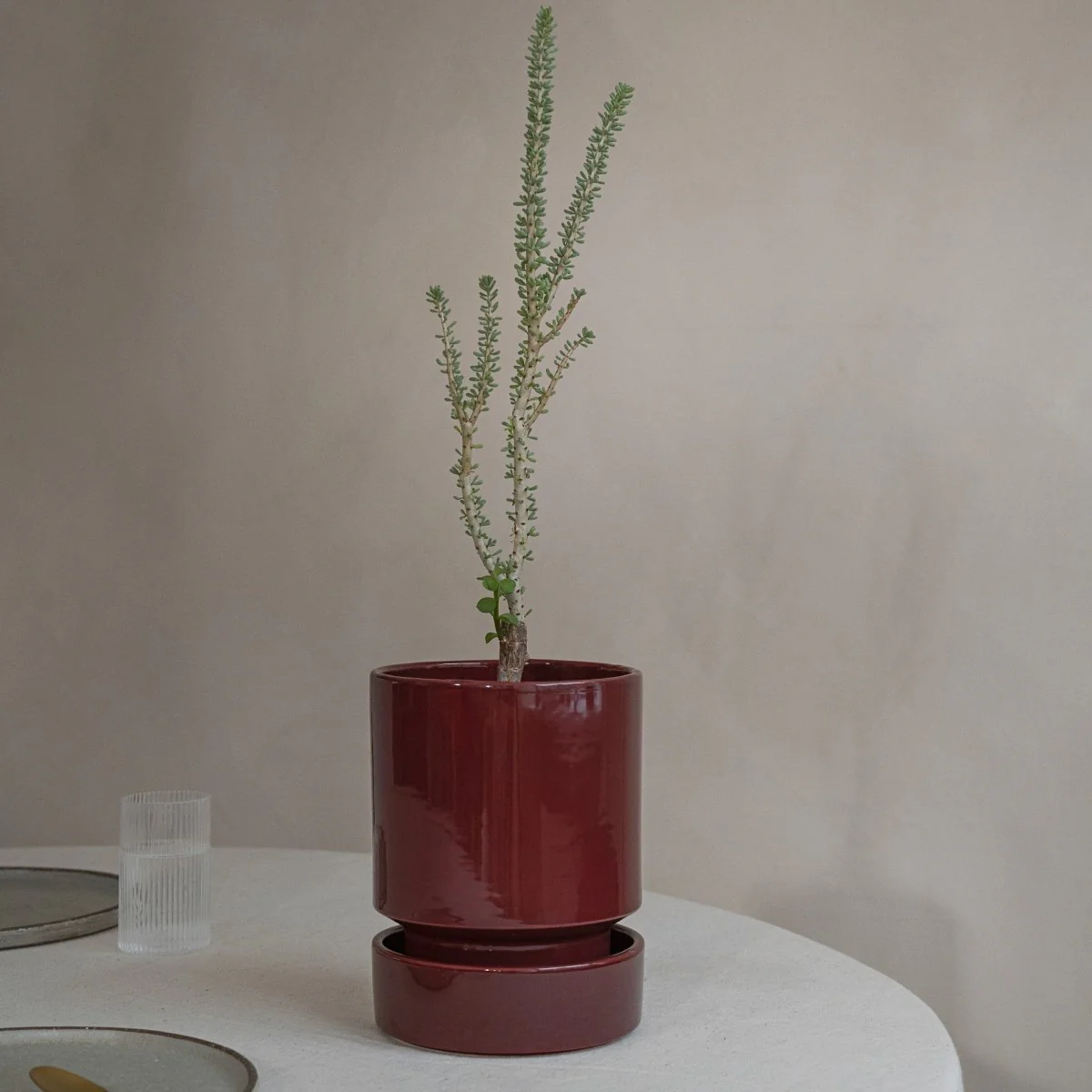 UNTERSETZER BERGS THE HOFF - Image 14