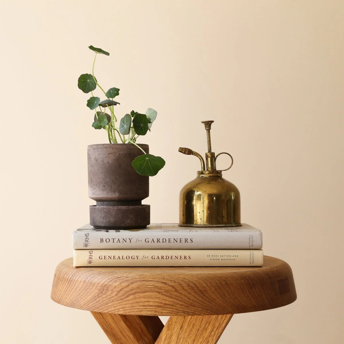 UNTERSETZER BERGS THE HOFF - Image 7